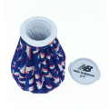 Medical Costumed Logo Reusable Cooling Ice Pack/Ice Bag